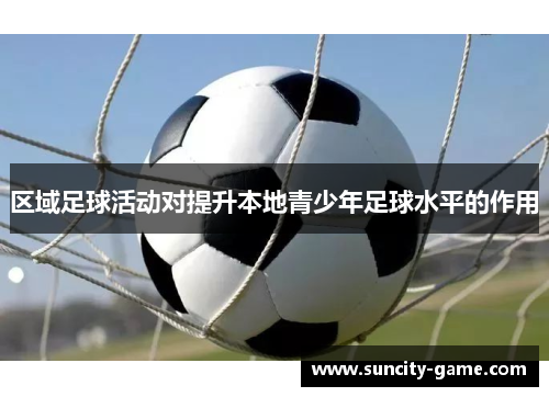 区域足球活动对提升本地青少年足球水平的作用