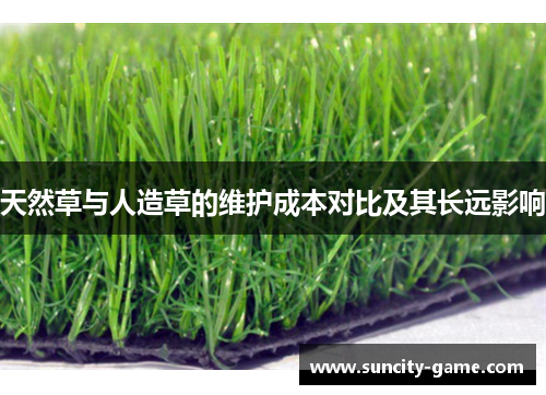 天然草与人造草的维护成本对比及其长远影响